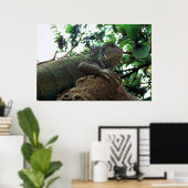 Iguana in een boom poster (Thuiskantoor)