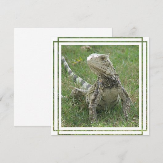 Iguana Invitation Kaart (Voorkant / Achterkant)