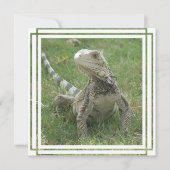Iguana Invitation Kaart (Voorkant)
