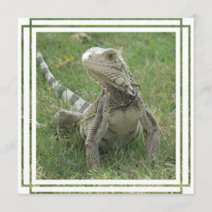 Iguana Invitation Kaart