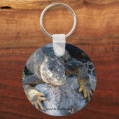 Iguana, Islas las Plazas, Galapagos Sleutelhanger (Voorkant)