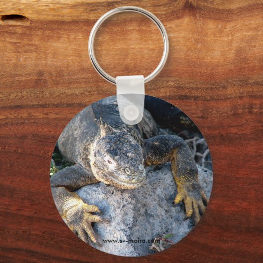 Iguana, Islas las Plazas, Galapagos Sleutelhanger (Voorkant)