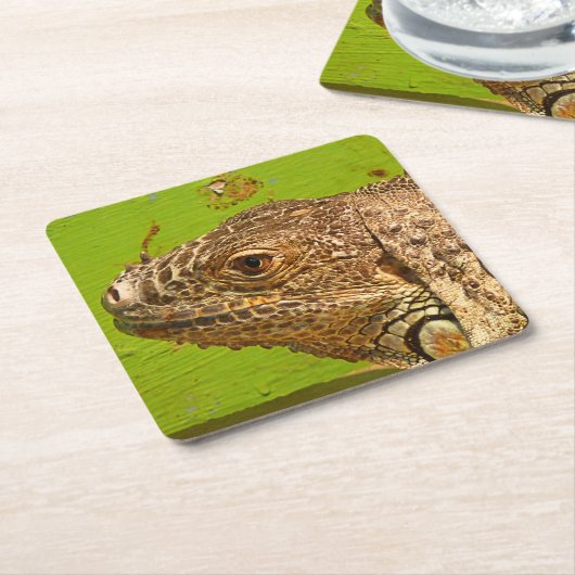 IGUANA KARTONNEN ONDERZETTERS (Schuin)
