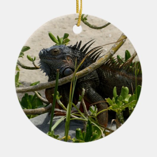 Iguana Keramisch Ornament (Voorkant)