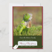 Iguana Kerst Kaart (Voorkant)