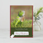 Iguana Kerst Kaart (Staand voorkant)
