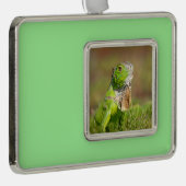 Iguana kerstversiering verzilverd omlijst ornament (Rechts)