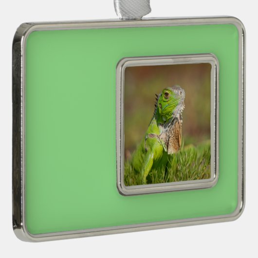 Iguana kerstversiering verzilverd omlijst ornament (Rechts)