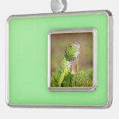 Iguana kerstversiering verzilverd omlijst ornament (Links)
