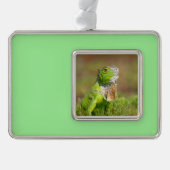Iguana kerstversiering verzilverd omlijst ornament (Voorkant)