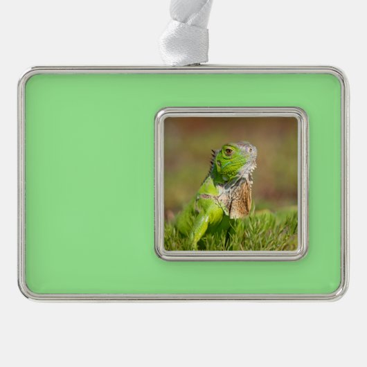 Iguana kerstversiering verzilverd omlijst ornament (Voorkant)