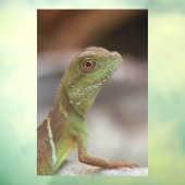 Iguana kiss raamsticker (Vel 3)