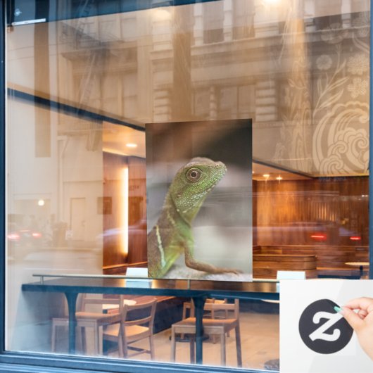Iguana kiss raamsticker (Cafe Raam)