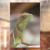 Iguana kiss raamsticker (Vel 2)