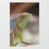Iguana kiss raamsticker (Vel)
