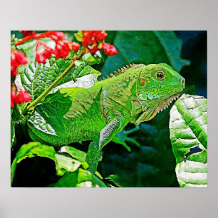 Iguana kunstmuur voor decoratie. poster