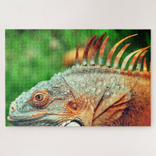 Iguana Legpuzzel