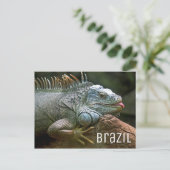 Iguana Lizard Brazilië Wildlife Briefkaart (Staand voorkant)