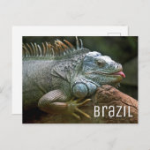 Iguana Lizard Brazilië Wildlife Briefkaart (Voorkant / Achterkant)