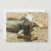 Iguana Lizard Invitation Kaart (Voorkant)