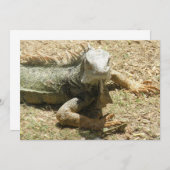 Iguana Lizard Invitation Kaart (Voorkant / Achterkant)