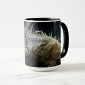 Iguana Lizard Reptiel Wildlife Mok (Voorkant rechts)