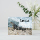 Iguana Lizard Reptile Cancun Mexico Briefkaart (Staand voorkant)