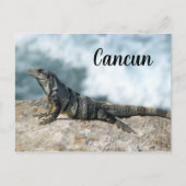 Iguana Lizard Reptile Cancun Mexico Briefkaart (Voorkant)