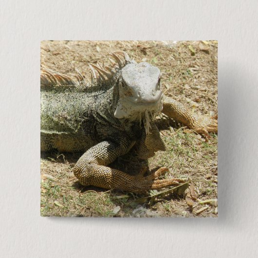 Iguana Lizard Square Pin Vierkante Button 5,1 Cm (Voorkant)