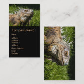 Iguana Lizard Visitekaartje (Voorkant / Achterkant)
