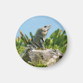 Iguana Magneet (Voorkant)