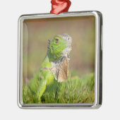 Iguana Metal Ornament (Links)