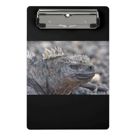 Iguana Mini Klembord (Voorkant)