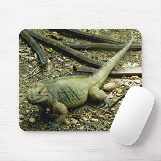 Iguana Mousepad Muismat (Met muis)