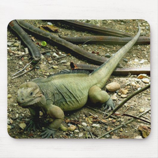 Iguana Mousepad Muismat (Voorkant)