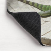 Iguana mousepad muismat (Hoek)