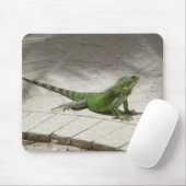 Iguana mousepad muismat (Met muis)