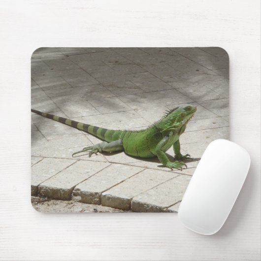 Iguana mousepad muismat (Met muis)
