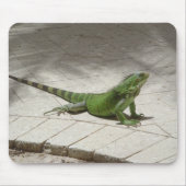 Iguana mousepad muismat (Voorkant)