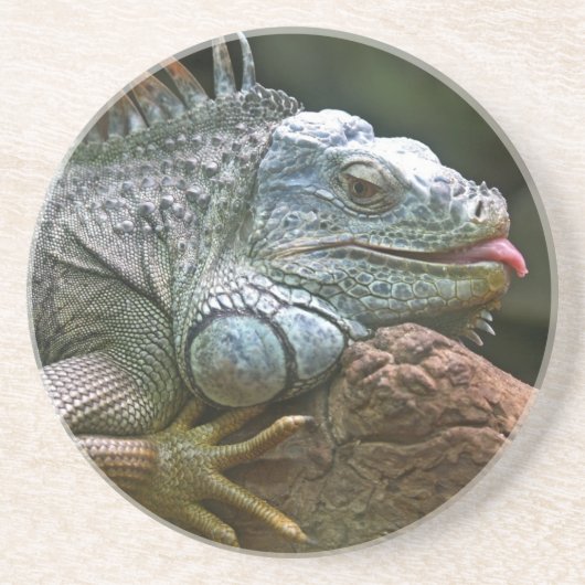 Iguana onderzetter (Voorkant)