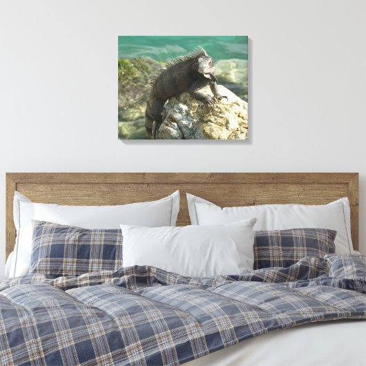 Iguana op de Rocks in St. Thomas Canvas Afdruk (Insitu (Slaapkamer))
