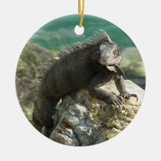 Iguana op de Rocks in St. Thomas Keramisch Ornament (Voorkant)
