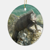 Iguana op de Rocks in St. Thomas Keramisch Ornament (Links)
