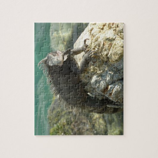 Iguana op de Rocks in St. Thomas Legpuzzel (Verticaal)