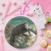 Iguana op de Rocks in St. Thomas Papieren Bordje (Feest)