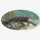 Iguana op de Rocks in St. Thomas Papieren Bordje (Gekanteld)