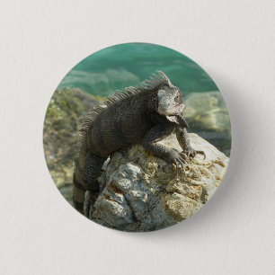 Iguana op de Rocks in St. Thomas Ronde Button 5,7 Cm