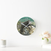 Iguana op de Rocks in St. Thomas Ronde Klok (Huis)