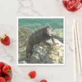 Iguana op de Rocks in St. Thomas Servet (Insitu)