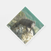 Iguana op de Rocks in St. Thomas Servet (Hoek)
